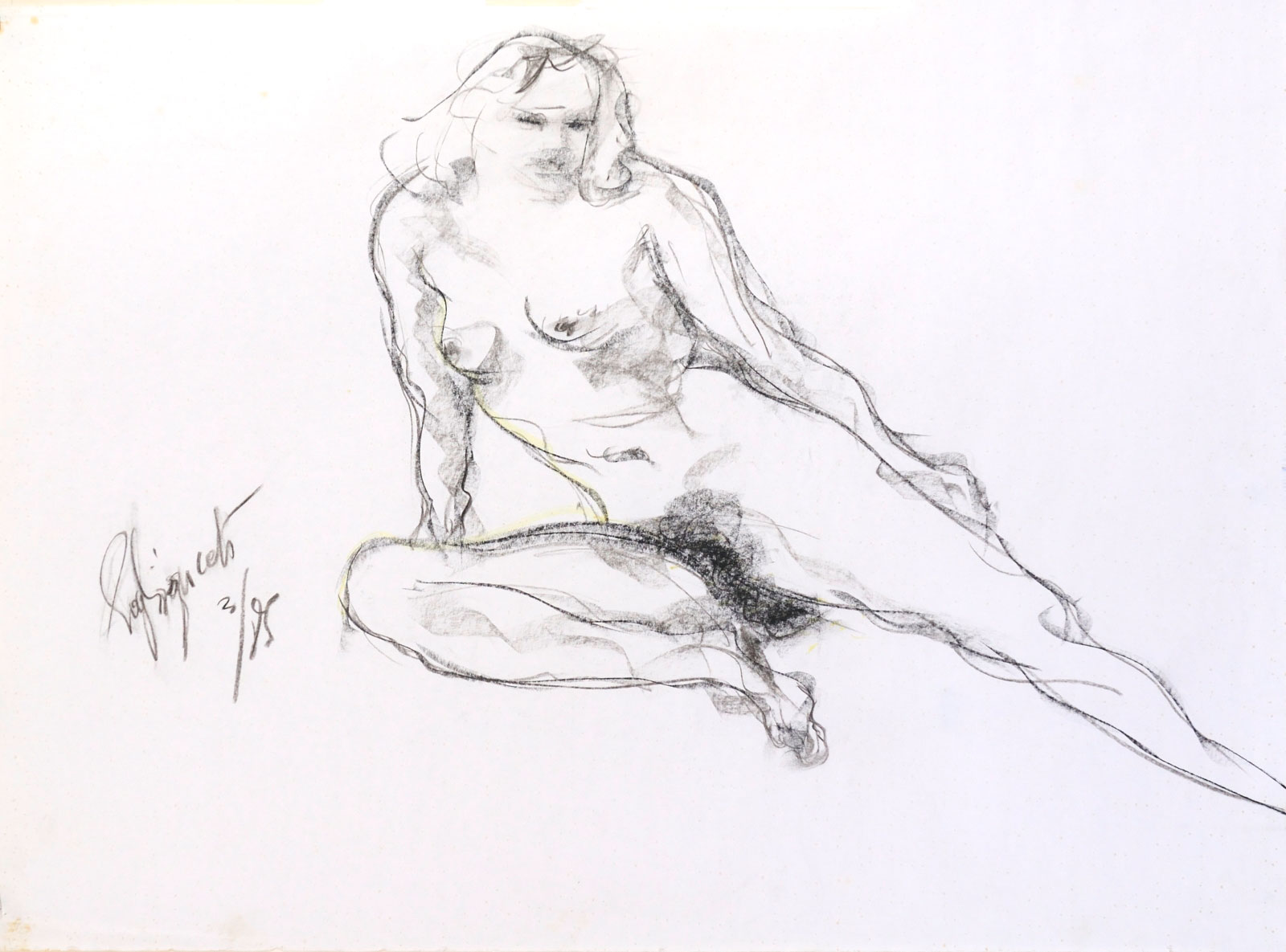 Charcoal Drawings · 14