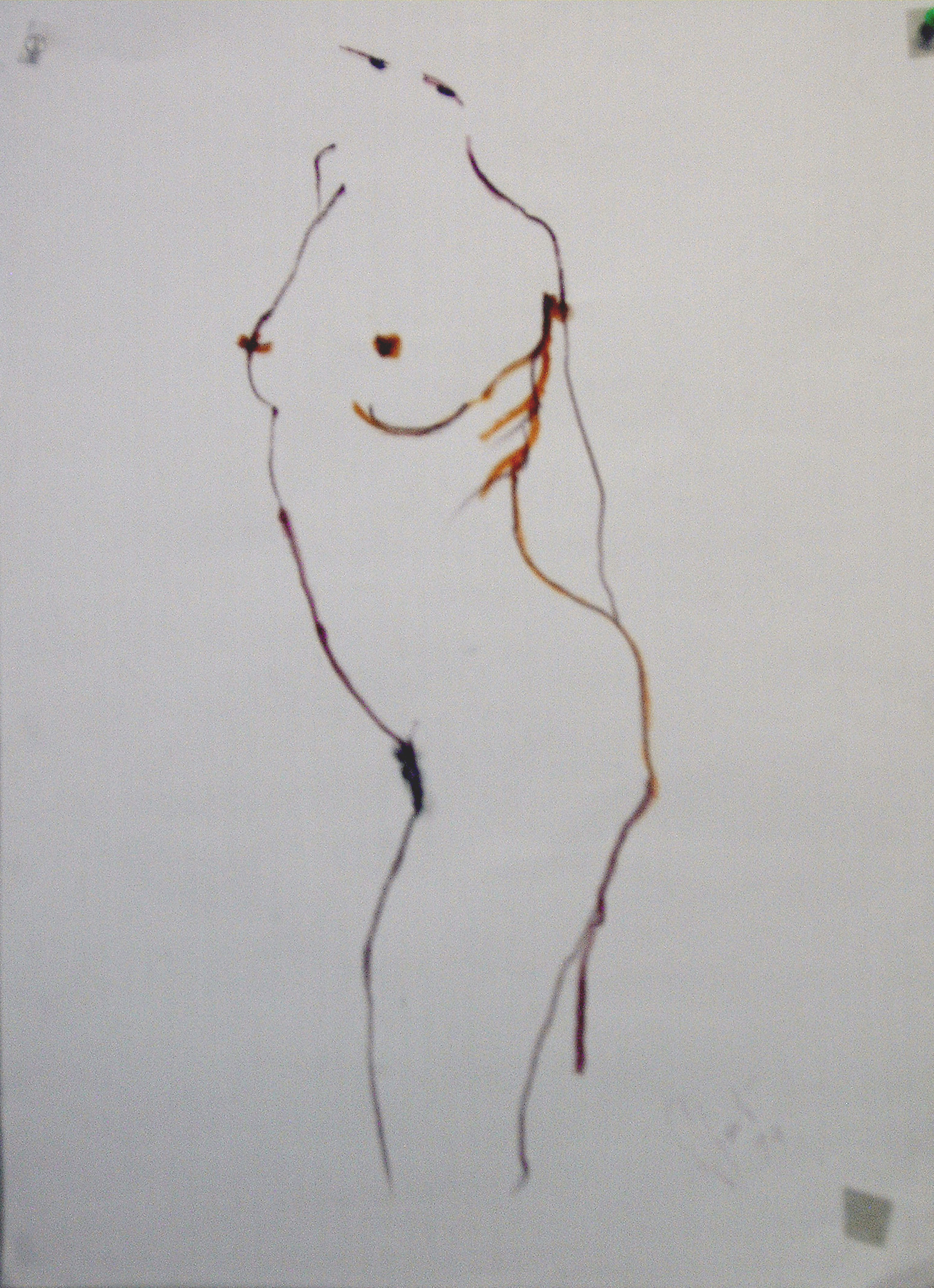 Stabilotone Drawings · 13