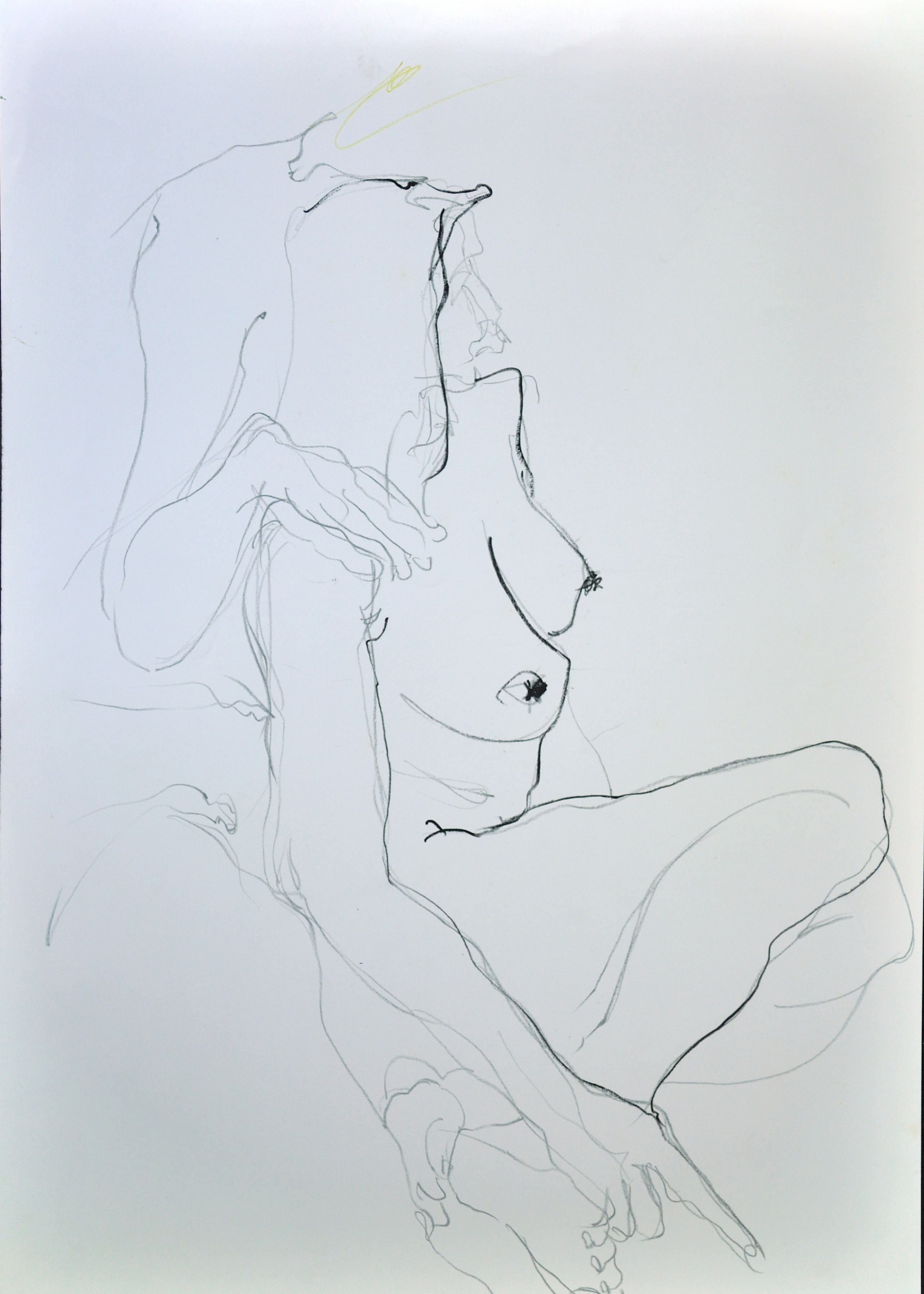 Stabilotone Drawings · 18